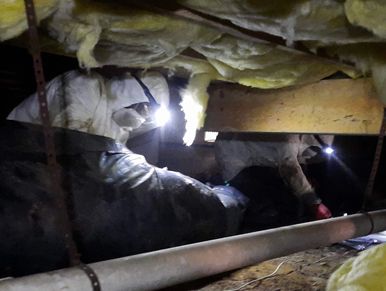 "Crawlspace insulation services for all seasons"
 "Expert Crawlspace Insulation Services"