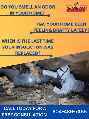 "Crawlspace insulation services for all seasons"
 "Expert Crawlspace Insulation Services"