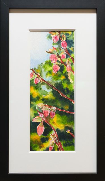 Early Spring Blueberry Blossoms