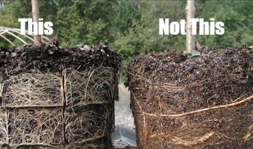 Rootmaker difference