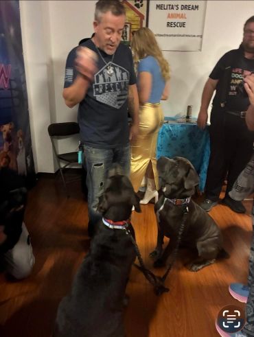 Man training two attentive dogs indoors at an animal rescue event.