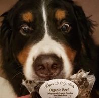 Organic dog treats