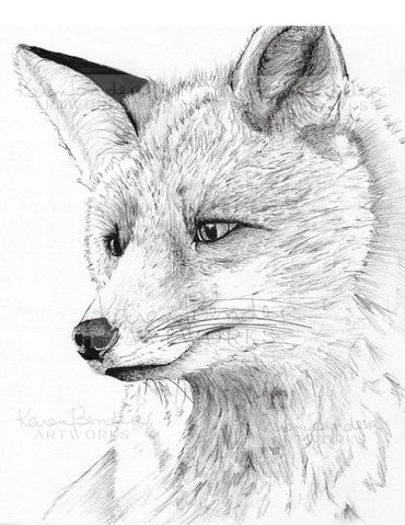Fox
9" x 12"
$ 200.00 unframed