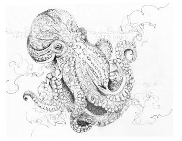 Octopus