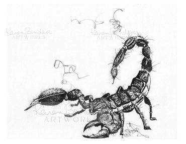 Scorpion
