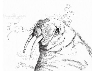 Walrus