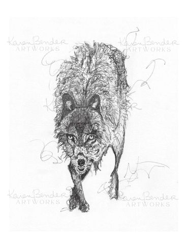 Lone wolf
