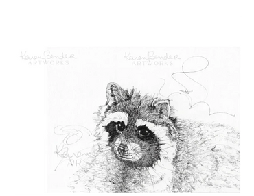 Raccoon
