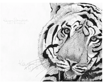 White tiger