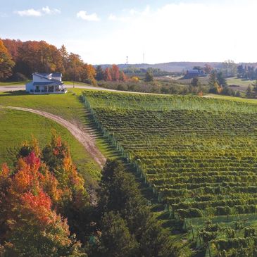 There are plenty of winery's to choose from in Northern Michigan.