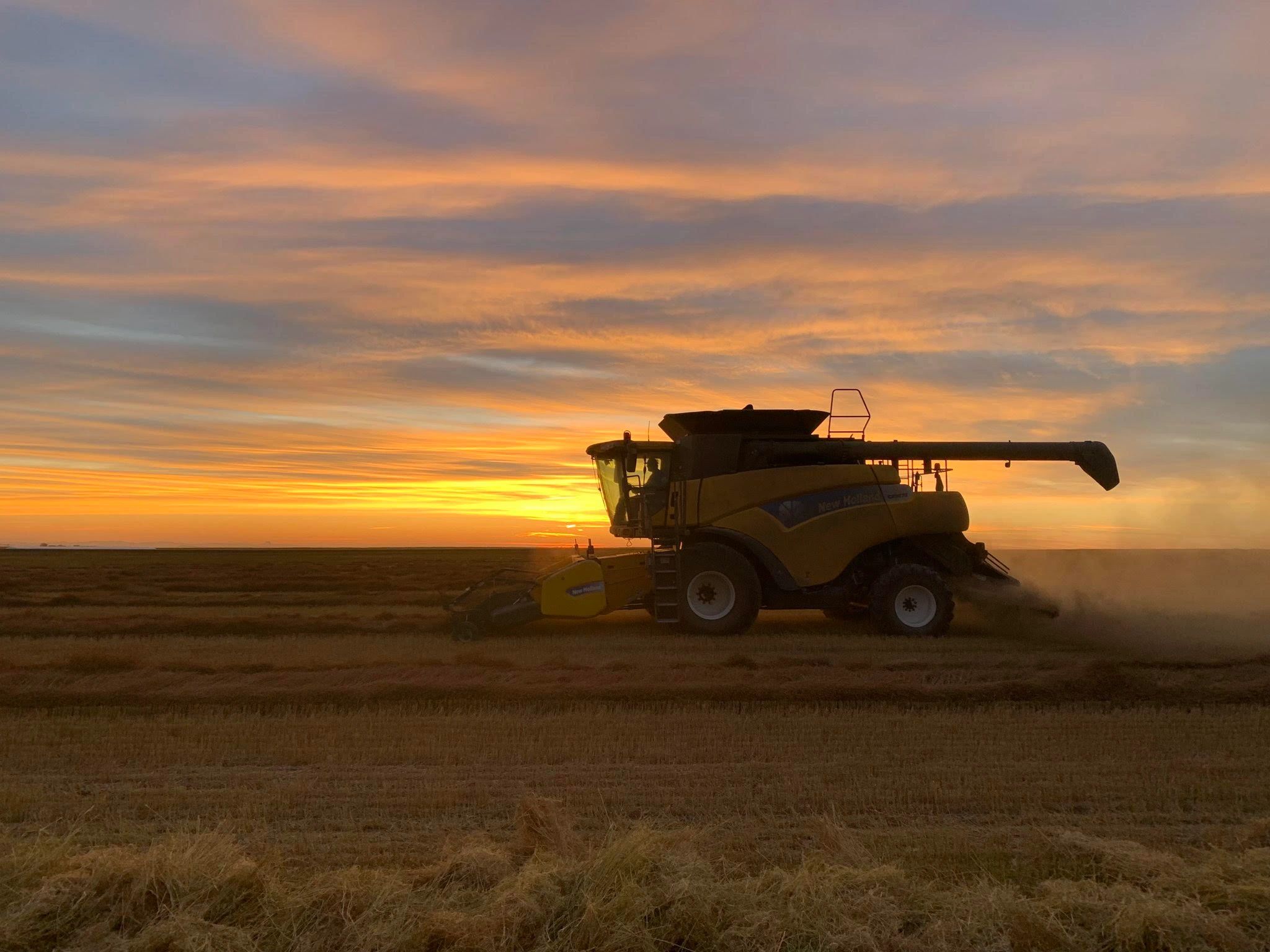 Combine in field