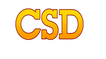 Control Systems Design Inc.
