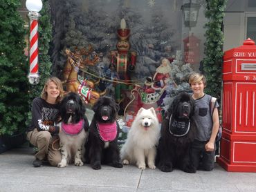 Our original show pups in Rundle mall