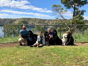 Family dog pic at the blue lake mount gambier