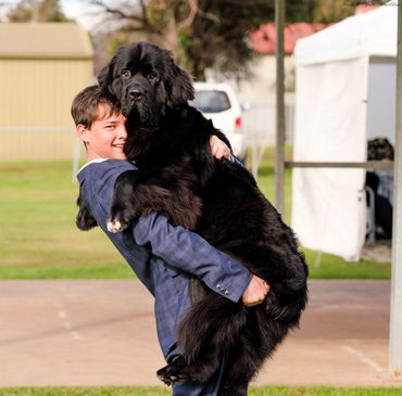 Shelby cuddling Patrick after a win