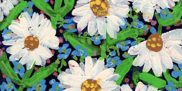 White daisies with yellow centres and green leaves on a navy blue background with forget me nots