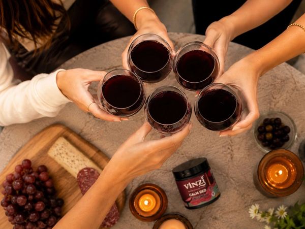 Friends toasting with red wine over a cozy table.