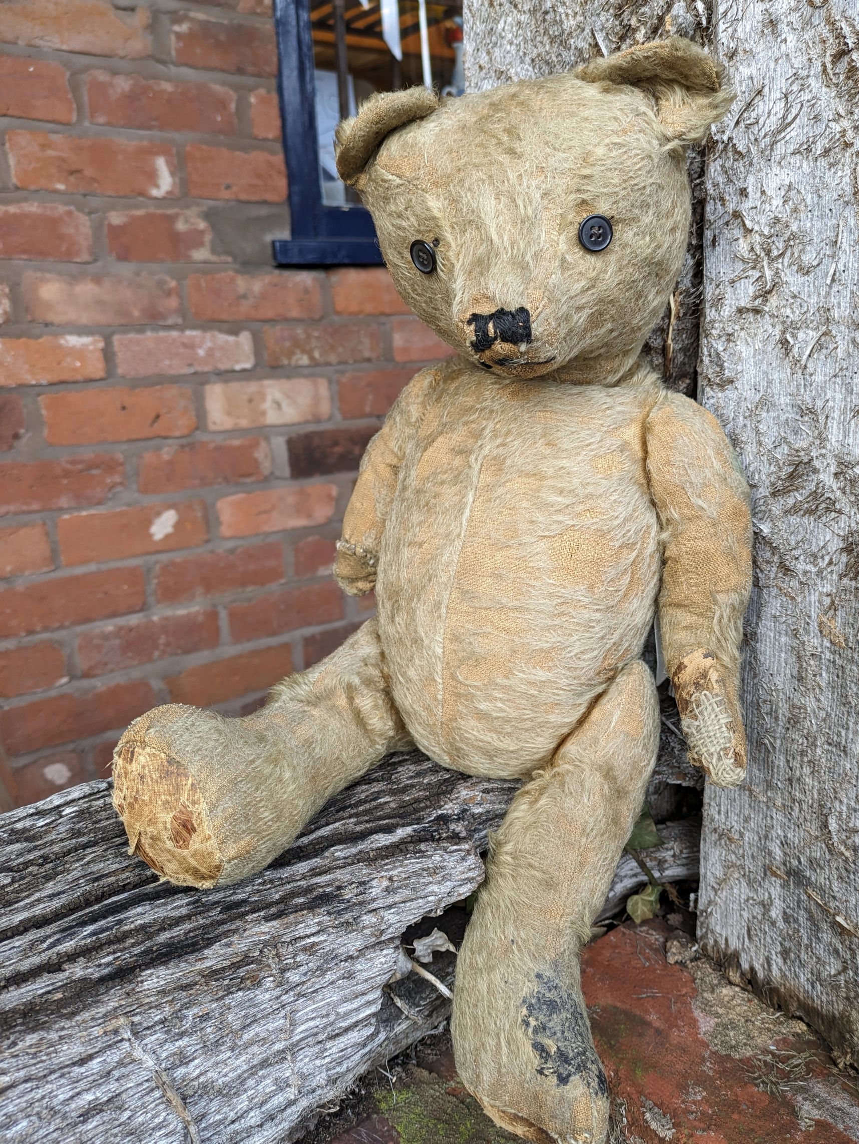 An old bear in need of repair