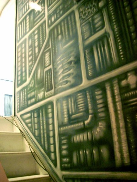 Trompe l'oeil 'trick of the eye' wall art mural