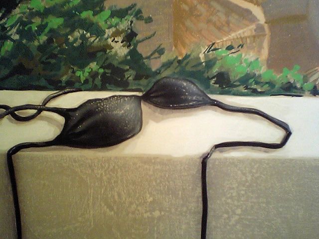 Painting of a bikini top.