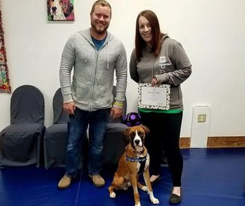 Boxer - intermediate group class