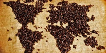 World's Best Tasting Coffee Gold Star Coffee