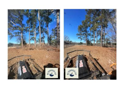 Before and after of brush mowing.