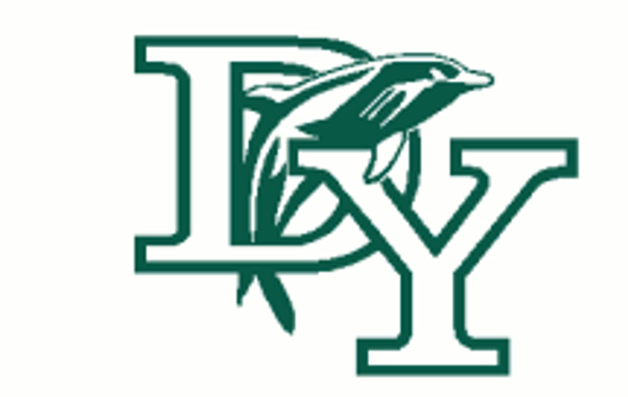 Logo with letters D and Y intertwined with a dolphin.