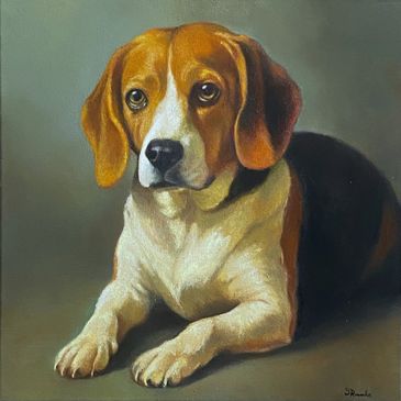 Realistic painting of a Beagle dog lying down.