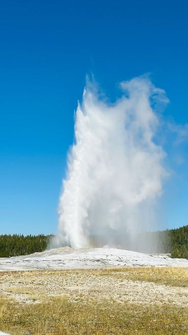 Old Faithful geyser erupting against a clear blue sky.