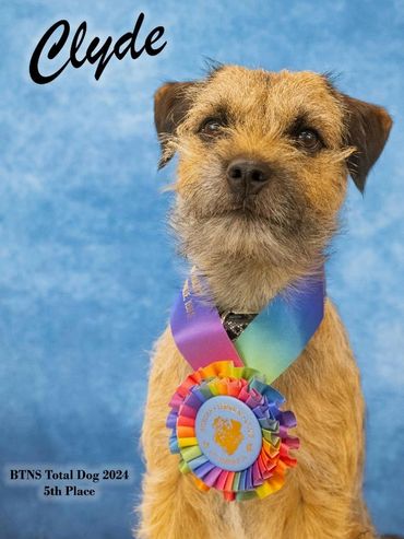 *Clyde*, Hardtack Texas Red FDC SE DCAT SWM SCME SHDM RATCHX ATT FTN owned, loved, trained and han