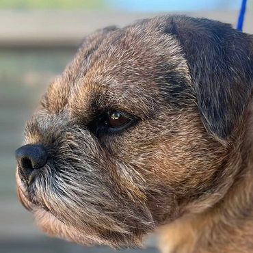 CH Hardtack Go The Extra Mile JXE CA DCAT