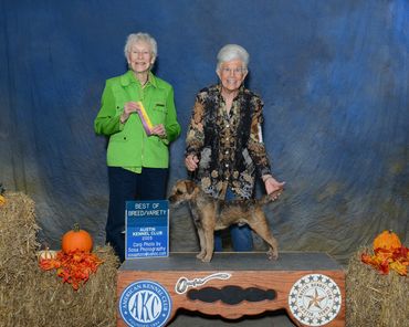 CH Hardtack's Put Me In Coach FDC CGC TKN ATT,
*Tebow* is owned, loved and handled by Robbie Johnso