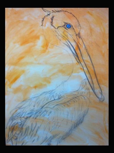 Example,step one of a commission pelican painting,GALVESTON ART PRINTS,ORIGINALS