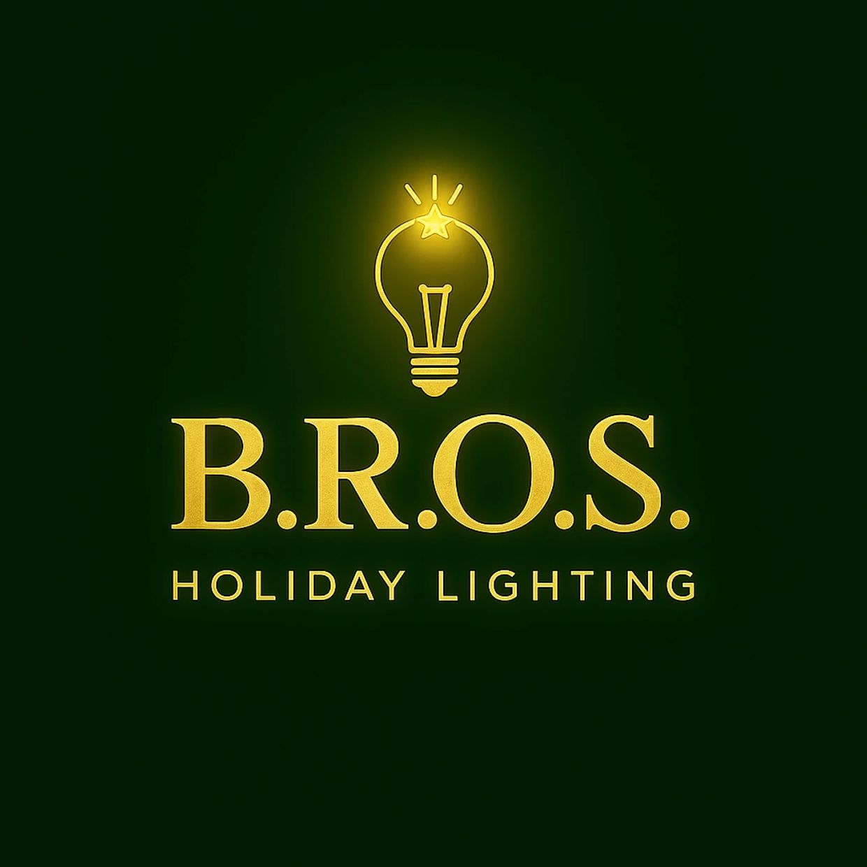 B.R.O.S. Holiday Lighting logo with glowing lightbulb and star.
