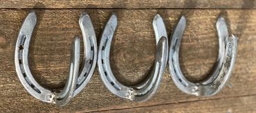 Three Horseshoe Coat Hook