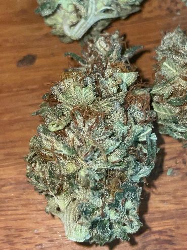 Space Berry (Space Fondue x Hashgooberry)