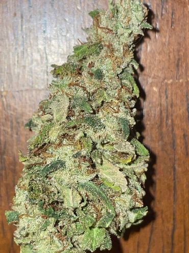 Hashblueberry (Blueberry Muffin x Hashgooberry)