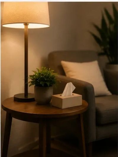 Cozy living room corner with lamp and tissue box.