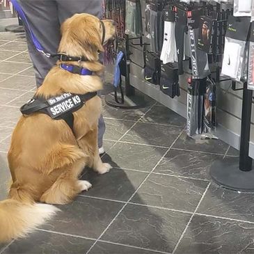 A service dog sits attentively next to its handler in a sports store.