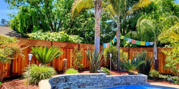 Beautiful Redwood Board on Board Fence with Triple Lattice sitting next too tropical garden poolside