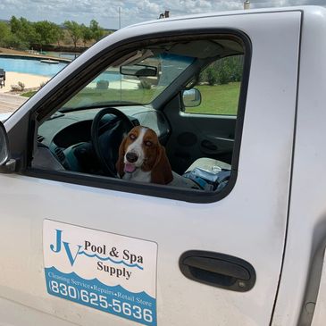 We love your pets and your pool.