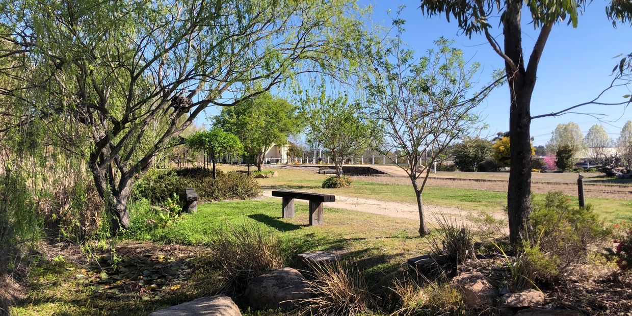 TA peaceful park with benches and trees under a clear blue sky.