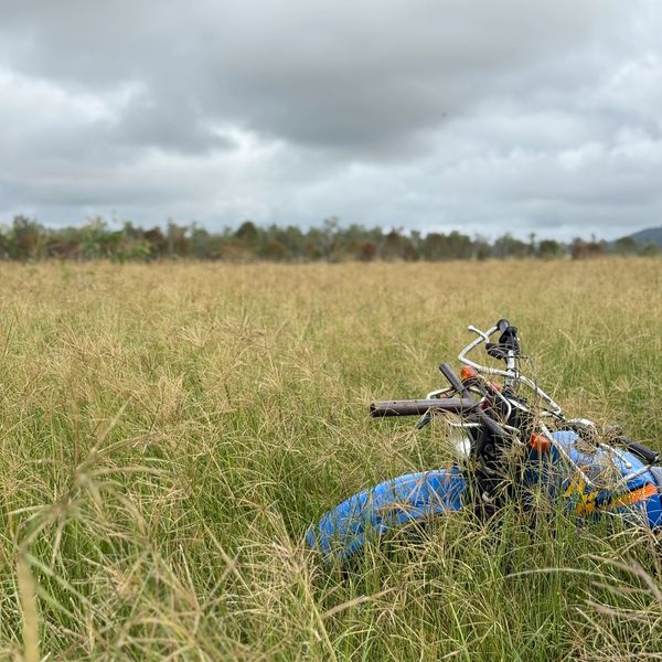 A blue motorcycle partially hidden in tall grass under a cloudy sky.