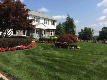 Lawn Cuts and Grounds Maintenance by Regency Landscape, LLC