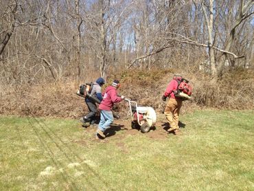 Leaf Cleanup and Grounds Maintenance by Regency Landscape, LLC