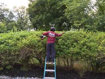 Lawn Cuts and Grounds Maintenance by Regency Landscape, LLC