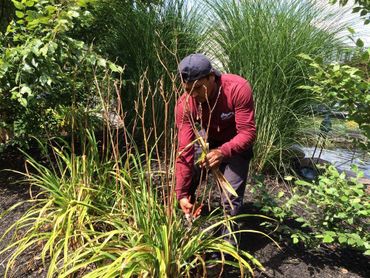 Lawn Cuts and Grounds Maintenance by Regency Landscape, LLC