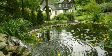 Pond Build and Installation