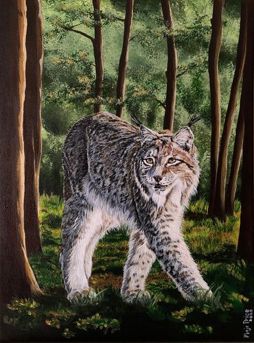 Bobcat Painting